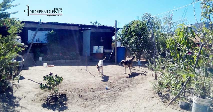 Que se dé solución real a la generación de asentamientos humanos: Amigos de Cabo San Lucas (CSL)