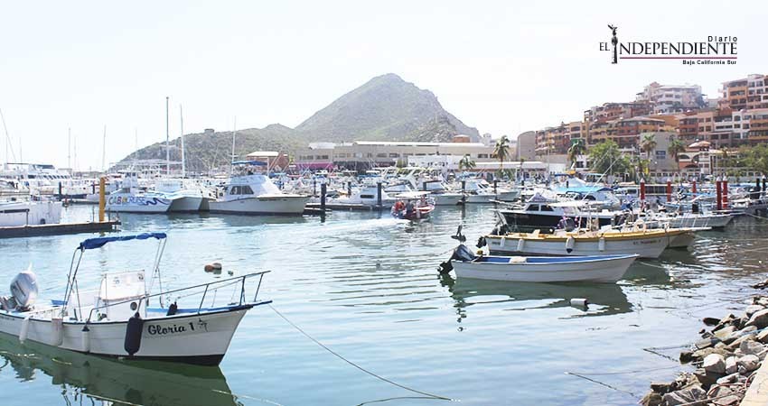 Recibirá puerto de Cabo San Lucas (CSL) 10 arribos en septiembre para dar paso a la temporada alta