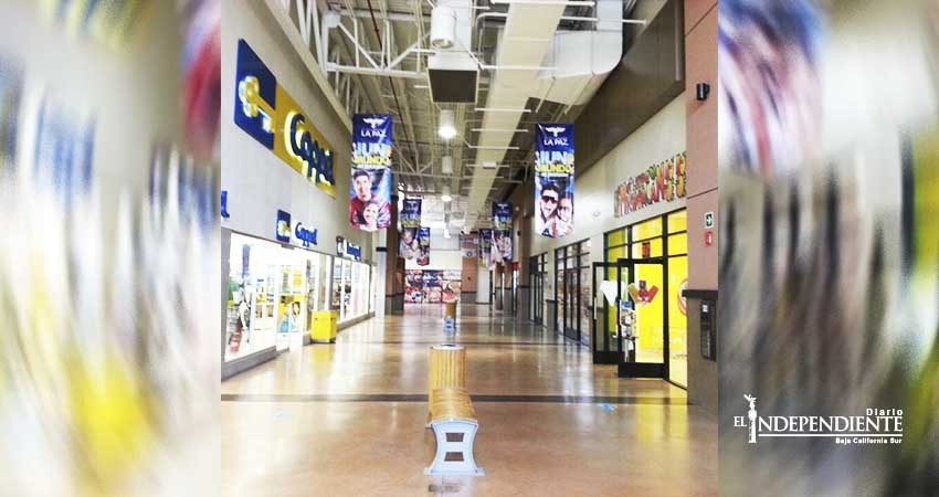 Ante denuncias de fauna nociva en comercios, Coepris toma medidas en La Paz