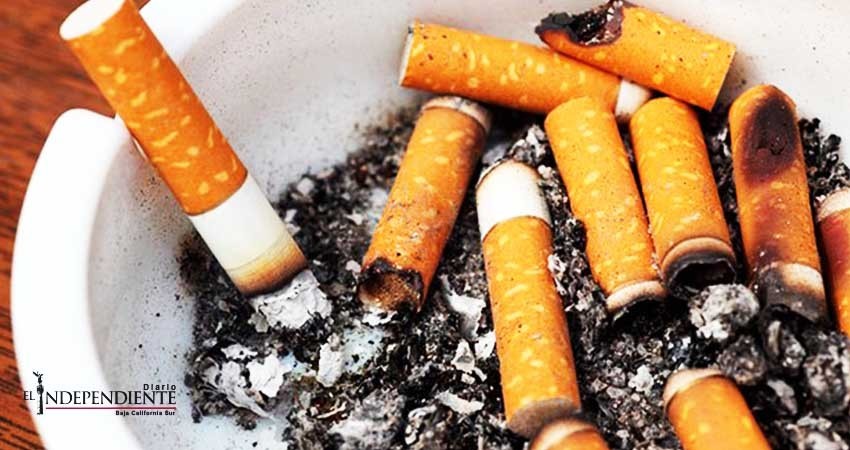 Presumen a Baja California Sur (BCS) como uno de los 11 estados “libres de humo de tabaco”