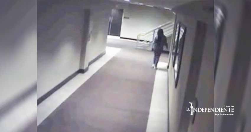 Mujer que murió en un congelador se metió sola