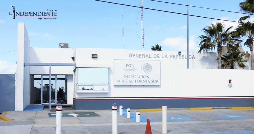 PGR de BCS inició dos carpetas de investigación por delitos federales