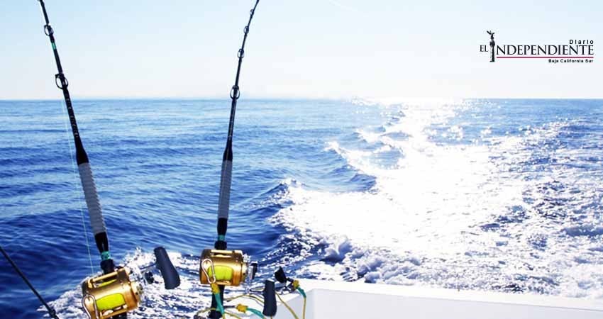 Denuncian a prestadores de servicios locales de clonar permisos para pesca deportiva