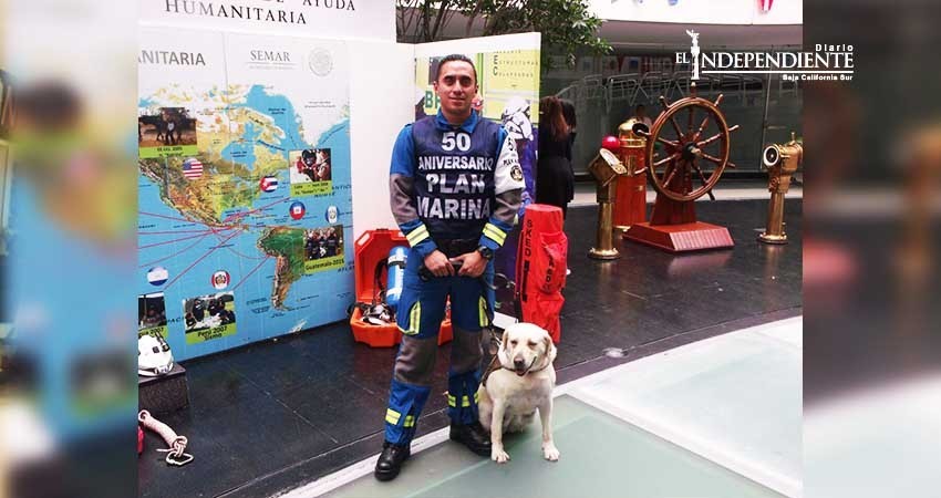 Ella es “Frida”, pieza clave en los sismos de Oaxaca y CDMX