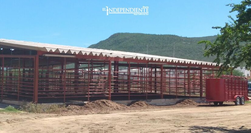 El 90% de la carne que se consume en La Paz viene de fuera: Rastro