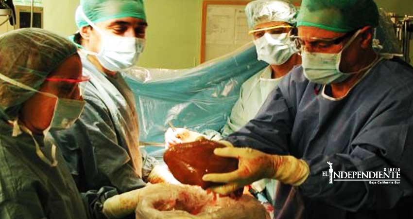 IMSS  La Paz ha logrado 69 trasplantes de riñón