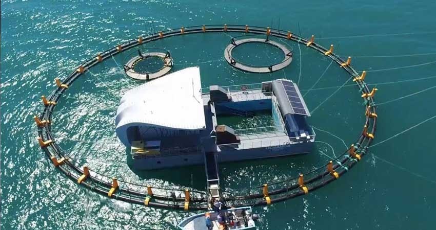 Listas instalaciones marítimas del santuario de la vaquita marina