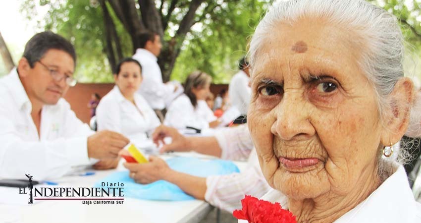 El 8% de la población en BCS es adulto mayor: INEGI