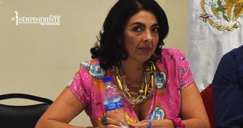 Concesionarios de transporte deben crear una empresa y fusionar rutas: Observatorio