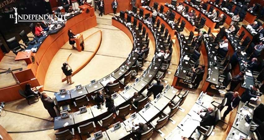 Crean ley para impulsar consumo y producción nacional de vino