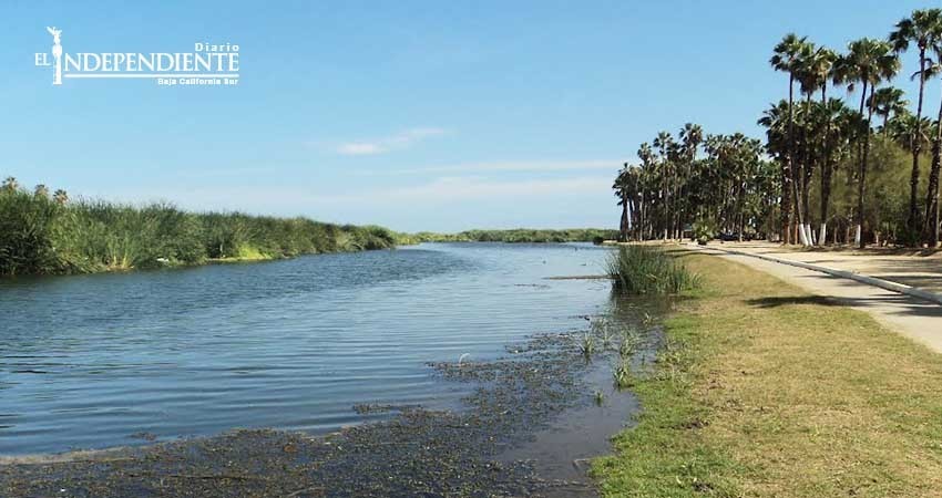 El Estero de SJC se encuentra en un estado pobre de salud: CIBNOR