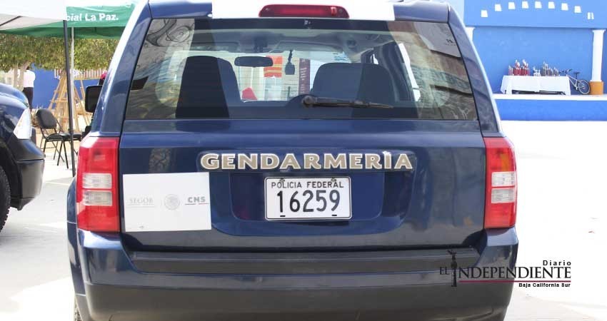 Gobierno federal continuo reforzando presencia policial para el combate a la violencia