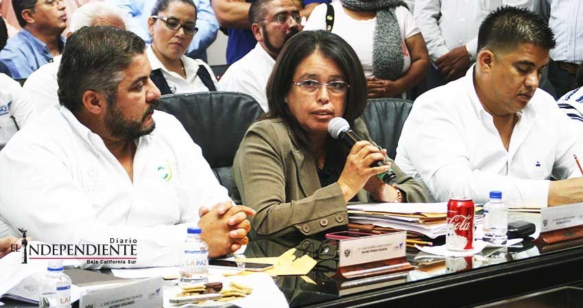 El XV Ayuntamiento de La Paz quedará a deber al ciudadano, reconoce regidora