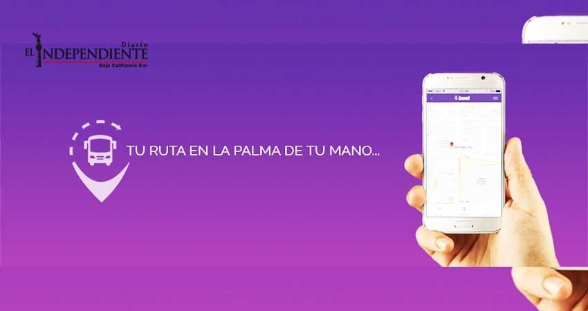 Por advertencia de multa, bajan aplicación para mejorar transporte público