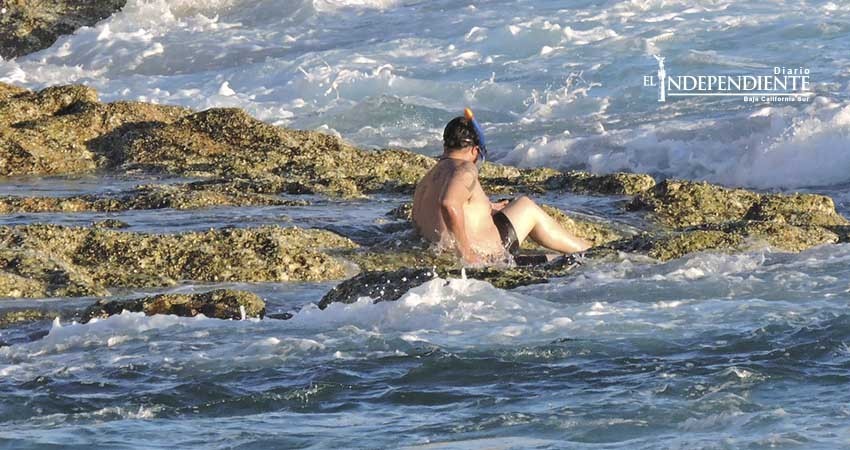 En los últimos 15 días guardavidas de Zofemat Los Cabos realizan 4 salvamentos