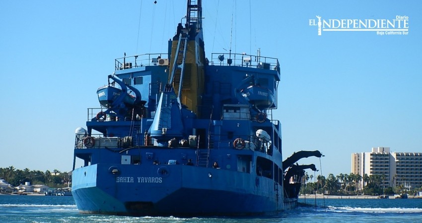 Avala Profepa dragado en la bahía de La Paz, “no hay varamientos de tortugas” afirman