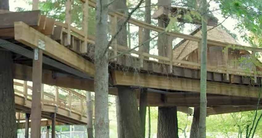 ¿Por qué Microsoft está construyendo casitas del árbol?