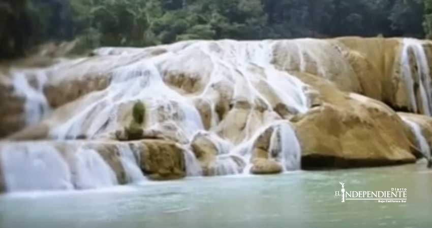 Cascadas de Agua Azul volverán a la normalidad en 20 días: Conagua