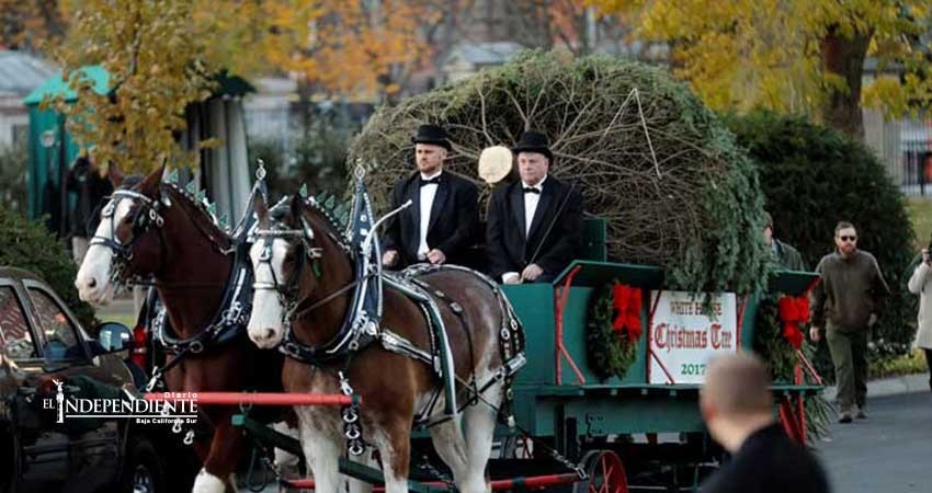 Este es el primer árbol navideño presidencial de los Trump