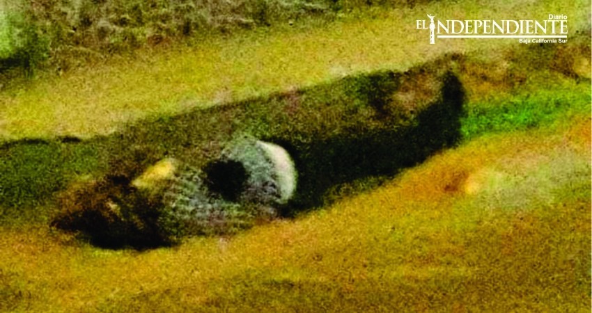 Asesinan a un ministerial; dejan “narcomensaje” sobre el cadaver