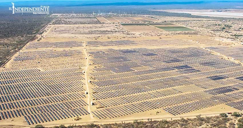 Proyectan parque fotovoltaico para Comondú, restauran producción en Aura Solar