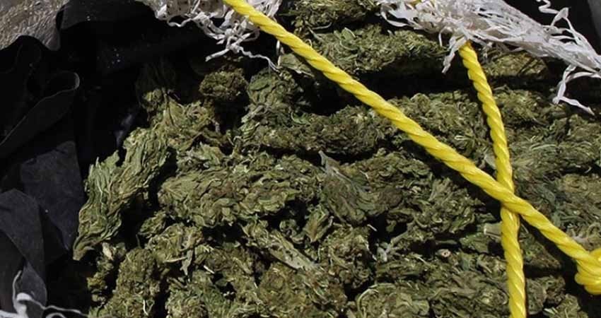 Fuman mota, policía los descubre y les hallan más de 2 mil ‘churros’