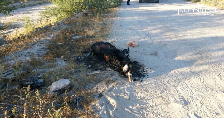 Localizan un cuerpo decapitado e incinerado a un costado del GUM