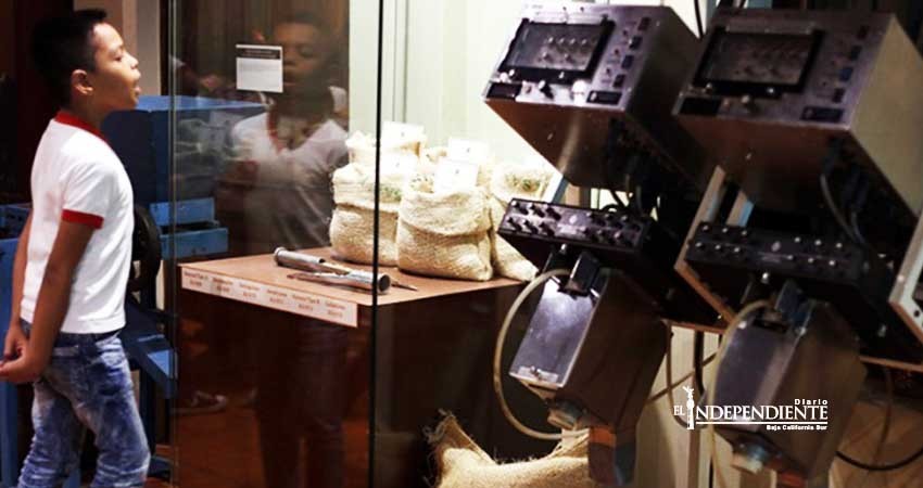 Café mexicano volverá a primeros lugares en el mundo: Agricultura