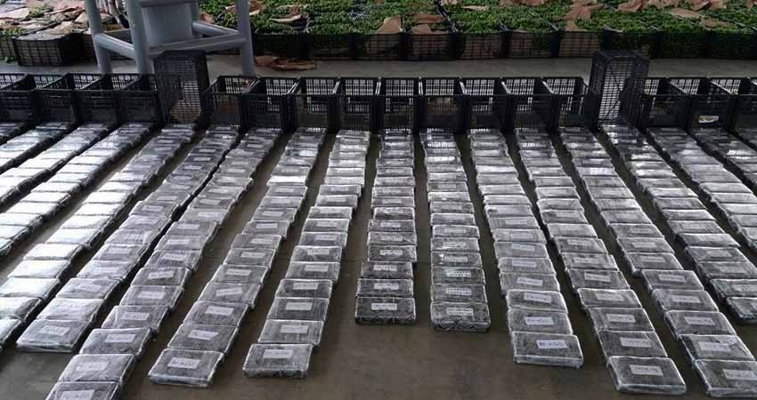 Militares decomisan más de 210 millones de dólares en droga