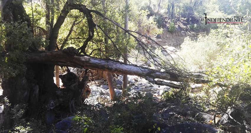 Niega permiso Conanp para que máquinas abran caminos a ranchos incomunicados