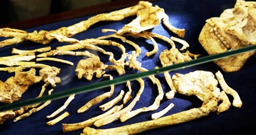 Encuentran esqueleto humano de hace 3.6 millones de años