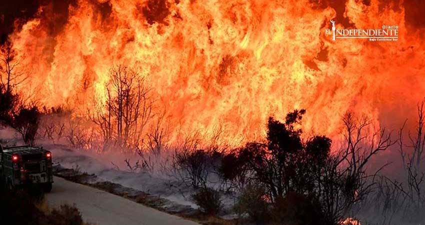 Incendios en California arrasan territorio más grande que NY