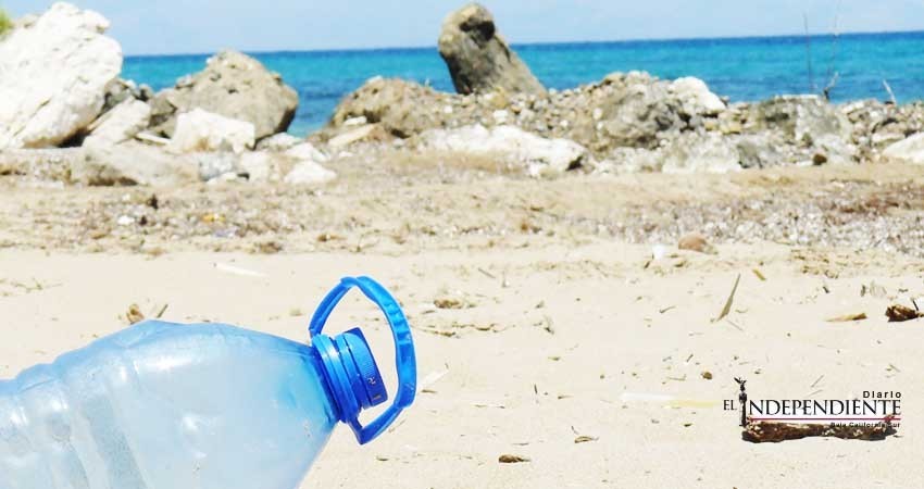 Falta mucha conciencia sobre la importancia de no tirar basura, todo va al mar