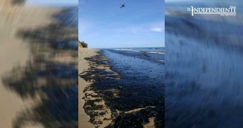 Mancha en playas del este, corresponde a un fenómeno natural: Dirección de Ecología