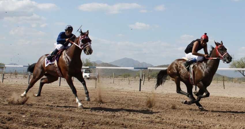 Gran cartelera este sábado en el Taste de Santiago