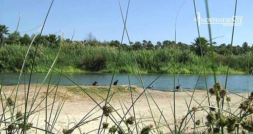 Llama CEIIT a atender con seriedad y no con demagogia, al Estero San José