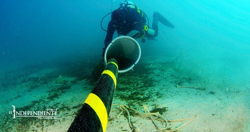En enero se publicarán bases para licitar construcción de cable submarino para BCS