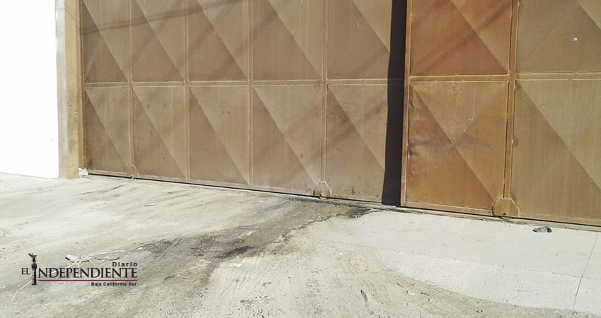 Denuncian constantes olores fétidos del patio de carga de Soriana Forjadores