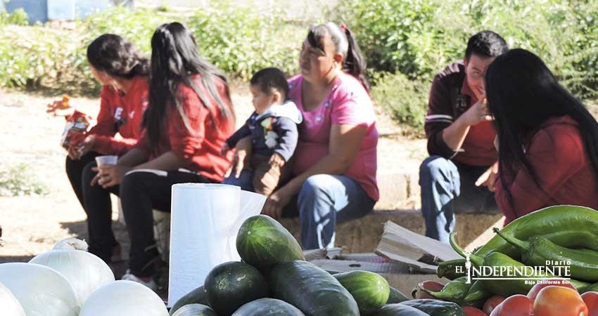 En 12 años las mujeres siguen sin tener oportunidades en BCS