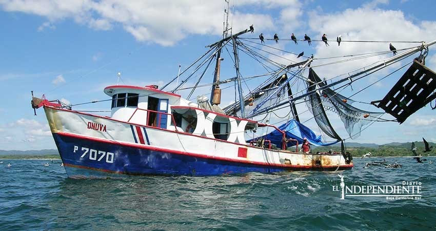 Camaroneros de Puerto San Carlos "sobrevivieron" a la poca producción del 2017