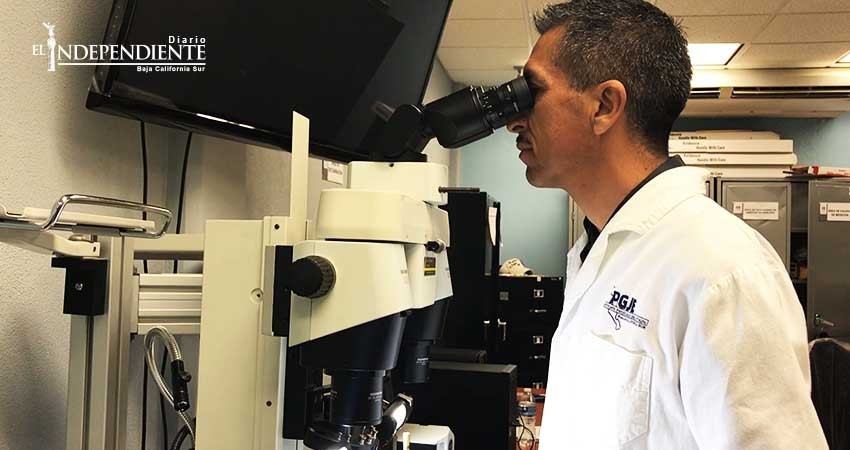 Espera PGJE certificar la operación de sus laboratorios forenses este 2018