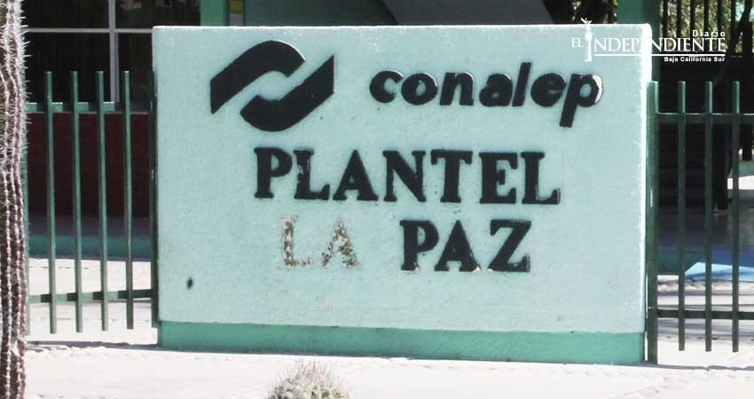 Pese a meses de concluida la huelga, siguen sin cumplirse acuerdos: Sindicato Conalep