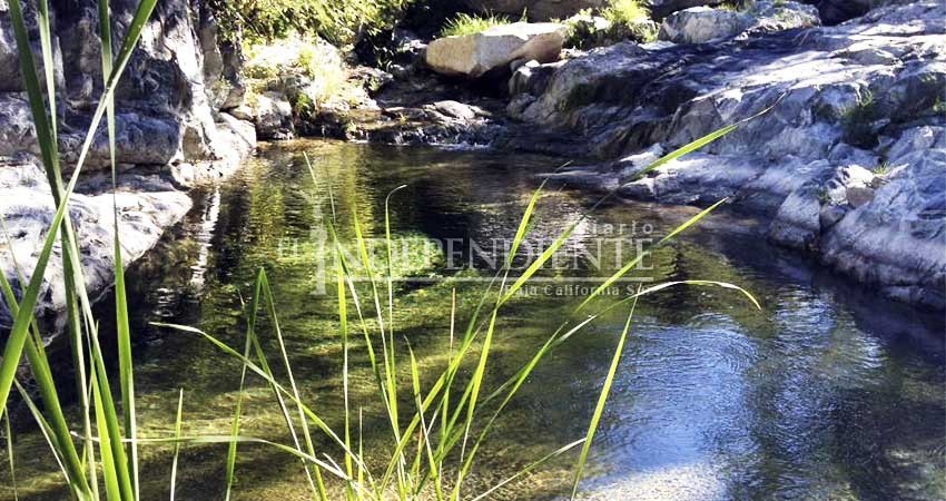 Ley General de Biodiversidad no tiene cambios en contra de áreas naturales protegidas: Fernández Navarro