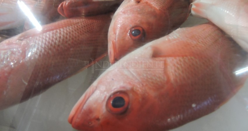 Iniciará Coepris operativo de cuaresma en Febrero