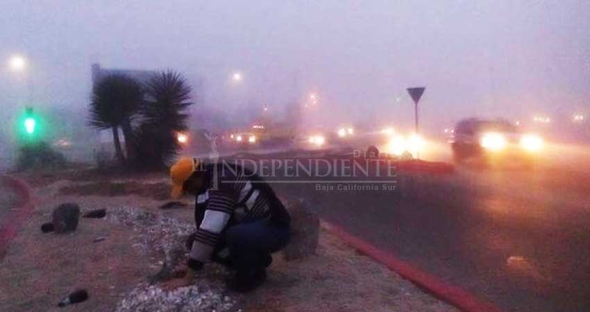 Debido a intensa neblina suspenden vuelos Aeropuerto de La Paz