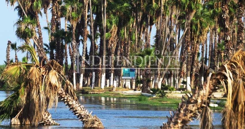 Estero, PDU y CRUM, tres pendientes a resolver por Cabildo de Los Cabos