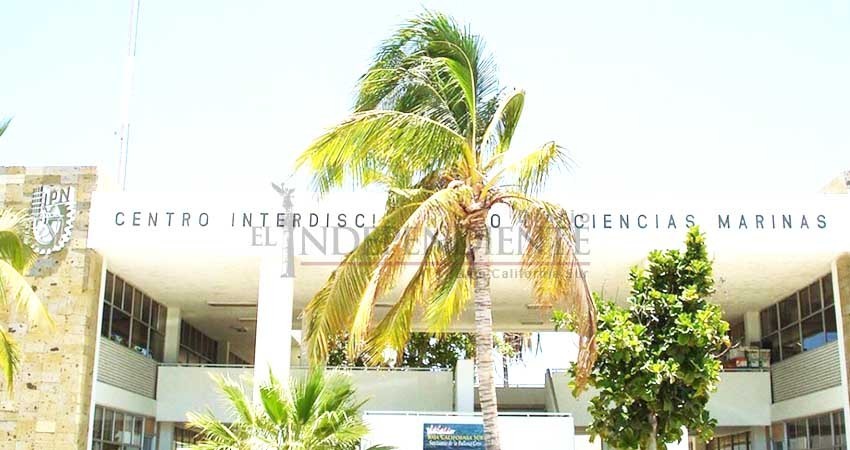 Piden homologados del Cicimar 20% de aumento en compensación para administrativos y 15% para docentes