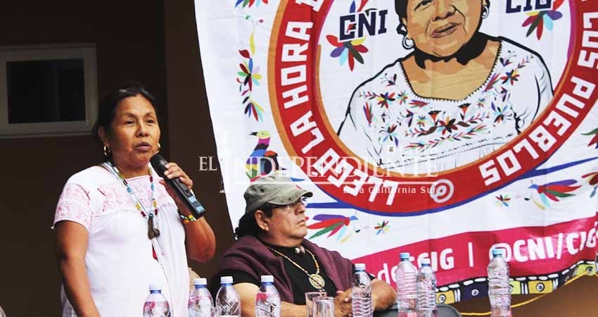 Aunque no logremos candidatura ya ganamos; nuestros pueblos ya son visibles: Marichuy