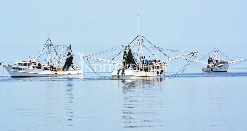 BCS es 3er lugar en volumen y valor de producción pesquera a nivel nacional