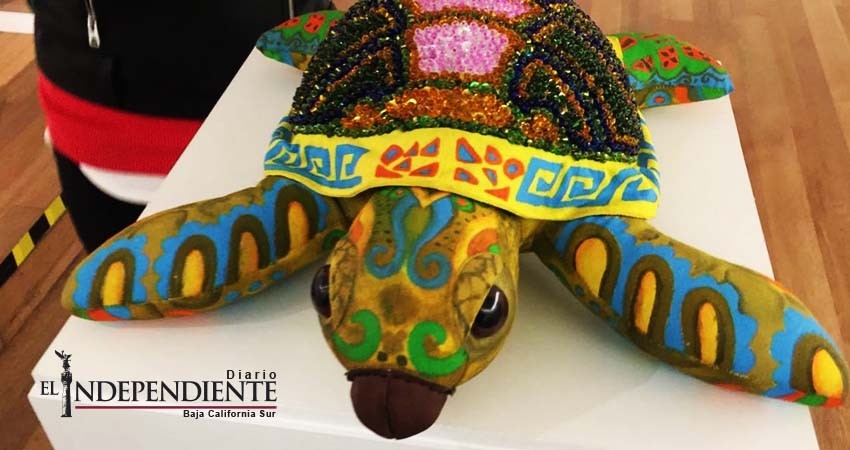 Exponen en el Soumaya obras plásticas sobre tortuga golfina